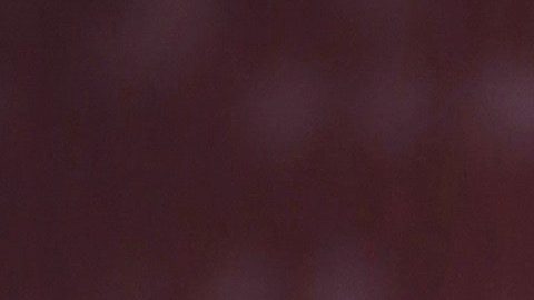 Ana Brenda Contreras