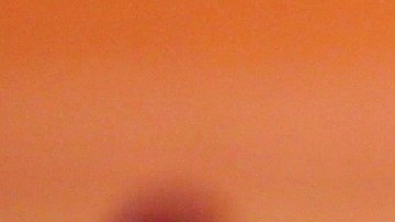 Marco Antonio Regil.