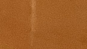 Defensores de reclusos neoyorquinos presentaron en Albany un plan de lucha en defensa de los internos para el 2024