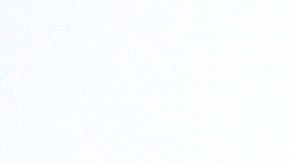 Isela Vega reunió objetos y material relacionados a su buen amigo Juan Gabriel.