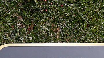 Taylor Swift posando en una alfombra roja.