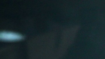 Alfredo Adame, actor mexicano.