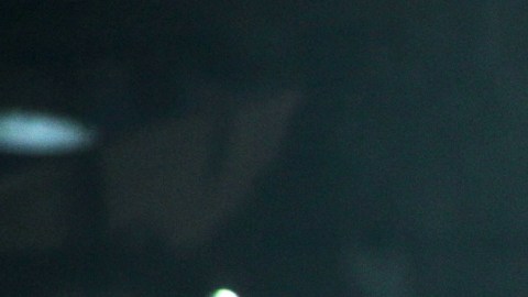 Alfredo Adame, actor mexicano.