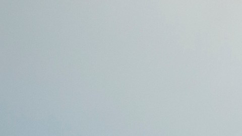 Vuelo