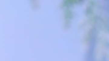 Aylín Mujica, actriz cubana.