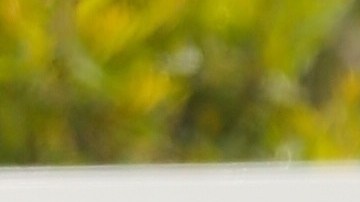 Bianca Censori y Kanye West