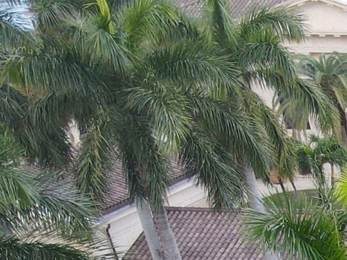 Tom Brady tendrá una cancha de baloncesto en su gran mansión.