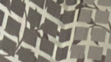 Berta Pesantez ha logrado salir adelante en su tratamiento contra el cáncer. /American Cancer Society Cancer Action Network (ACS CAN)