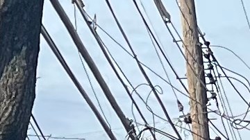 Vecindario Whitestone en Queens, NYC.