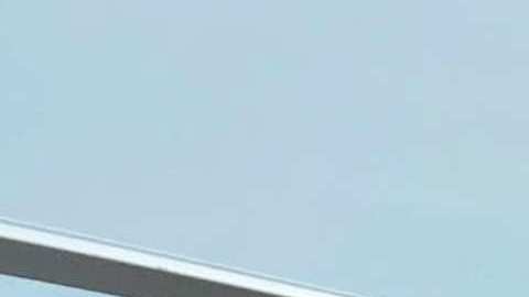 Clovis Nienow, actor y modelo.