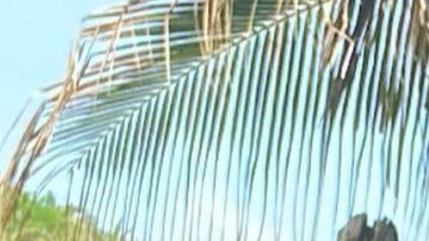 Clovis Nienow, actor y modelo mexicano. Foto: Instagram Clovis Nienow.