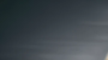 El perrito goldendoodle, Cecil, se comió $4,000 dólares en efectivo.