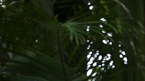 Alan Tacher, Karla Martínez y Raúl González del programa 'Despierta América'.