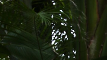 Alan Tacher, Karla Martínez y Raúl González del programa 'Despierta América'.