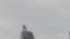 Eclipse solar Nueva York