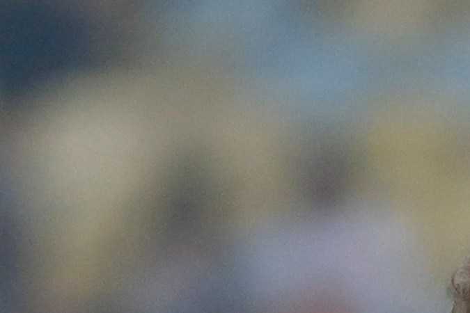 Corte Suprema de Brasil pone orden en la CBF y restituye al presidente Ednaldo Rodrigues