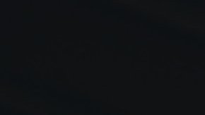 Hinchas de los Wolverhampton Wanderers.