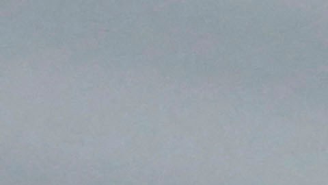 Álvarez es el primer obispo arrestado, acusado y condenado desde que Ortega retornó al poder en Nicaragua en 2007.