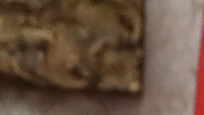 Haley dijo en un mitin que "el caos persigue" a Trump y que el país "no puede permitirse cuatro años más de caos".