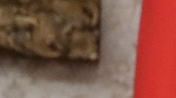 Haley dijo en un mitin que "el caos persigue" a Trump y que el país "no puede permitirse cuatro años más de caos".