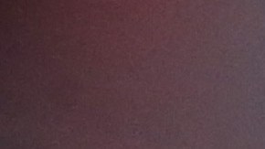 Tekashi 6ix9ine y Yailin 'la más viral' sostienen una relación sentimental.