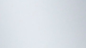 Francoise Bettencourt Meyers, la mujer más rica del mund.