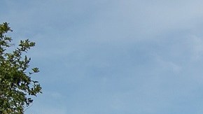 Miles de inmigrantes son enviados de Texas a Denver, Colorado.