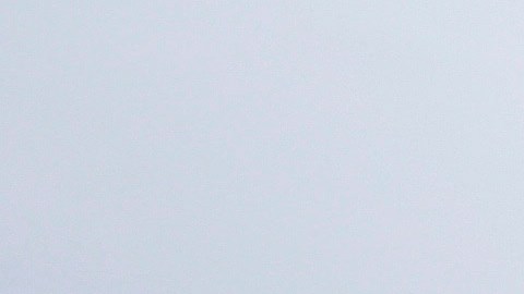 Vista de una zona acordonada donde se encontró una fosa común