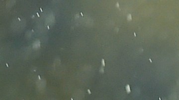 Llenan de insultos las redes sociales de Modric y Valverde tras votar por Messi en el The Best