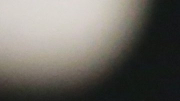 Julio César Chávez Jr.