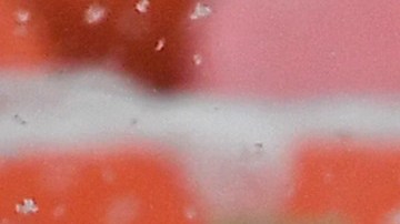 Arrowhead Stadium bajo la nieve.