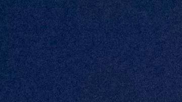 Powell indicó que la casa estaba en un lote de cinco acres y que dos de los acres estaban llenos de escombros.