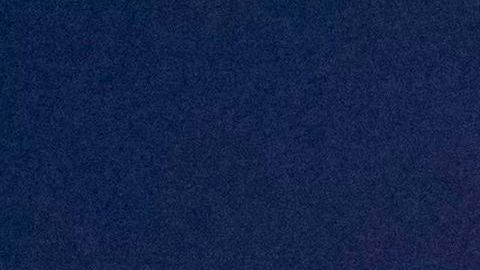 Powell indicó que la casa estaba en un lote de cinco acres y que dos de los acres estaban llenos de escombros.