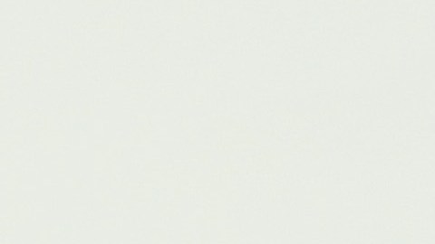 Jason Momoa y Lisa Bonet