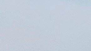 El incidente se registró en un avión de Delta Airlines en el aeropuerto de Salt Lake City.