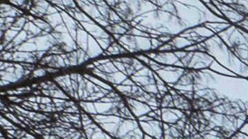 Fachada de Iglesia protestante alemana.