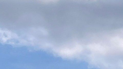 Donald Trump y cuatro más: ¿quiénes son los candidatos republicanos a la Casa Blanca?