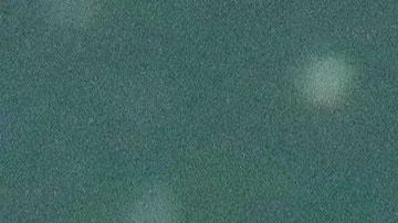 MEXICO-ENVIRONMENT-CONSERVATION-MANATEE