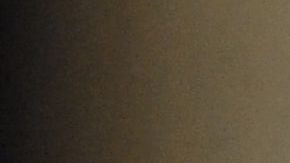 La modelo española fue soliitada por la defensa de Alves a testificar ante el juez.