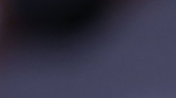 ¿Biden no sabía que el secretario de Defensa de EE.UU. Lloyd Austin estuvo ausente en el Pentágono?