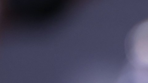 ¿Biden no sabía que el secretario de Defensa de EE.UU. Lloyd Austin estuvo ausente en el Pentágono?