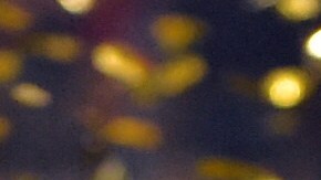 Trofeo de la Copa del Rey.