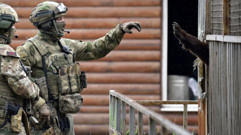 Soldado ruso interactúa con un oso en Mariupol.