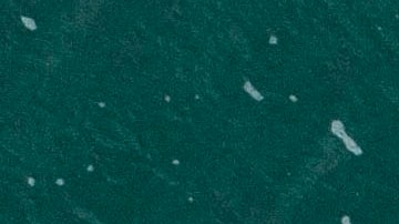 El incidente ocurrió en Paradise Island