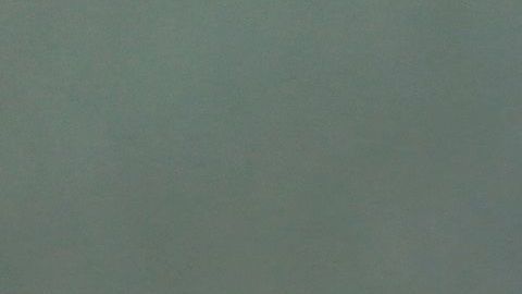 Eli Regalado, y su esposa, Kaitlyn, han sido acusados ​​de orquestar un esquema fraudulento de criptomonedas.