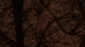 TOPSHOT-US-WEATHER-SNOW