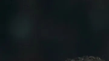 El delantero portugués no estuvo presente en el cumpleaños de su pareja.