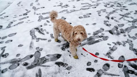 Nieve en NYC