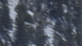 La Oficina del Sheriff del condado de Kootenai y la Fuerza Aérea de Estados Unidos colaboraron con la misión de rescate.