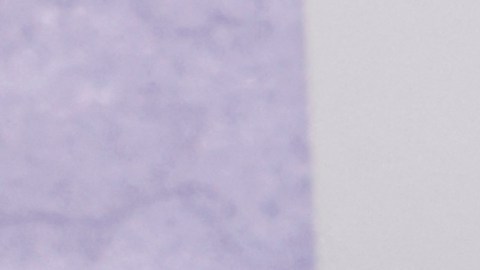 Jennifer López posando en una alfombra roja.